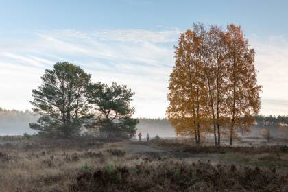 Heimatkundlicher Wanderweg